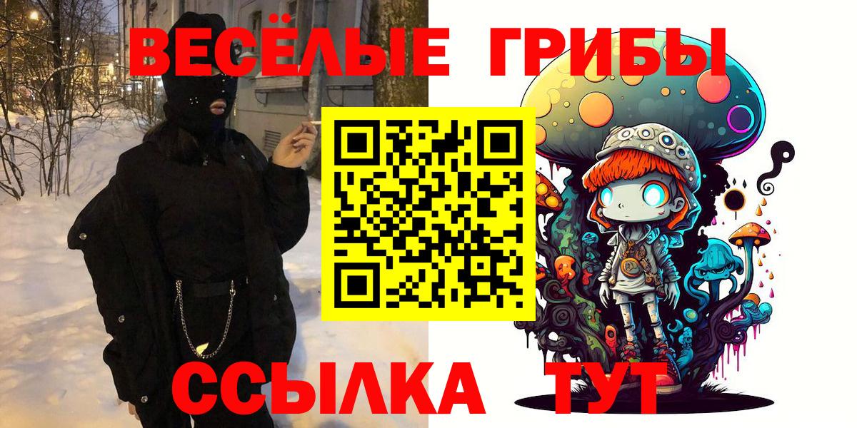 Псилоцибиновые грибы GOLDEN TEACHER Зеленогорск