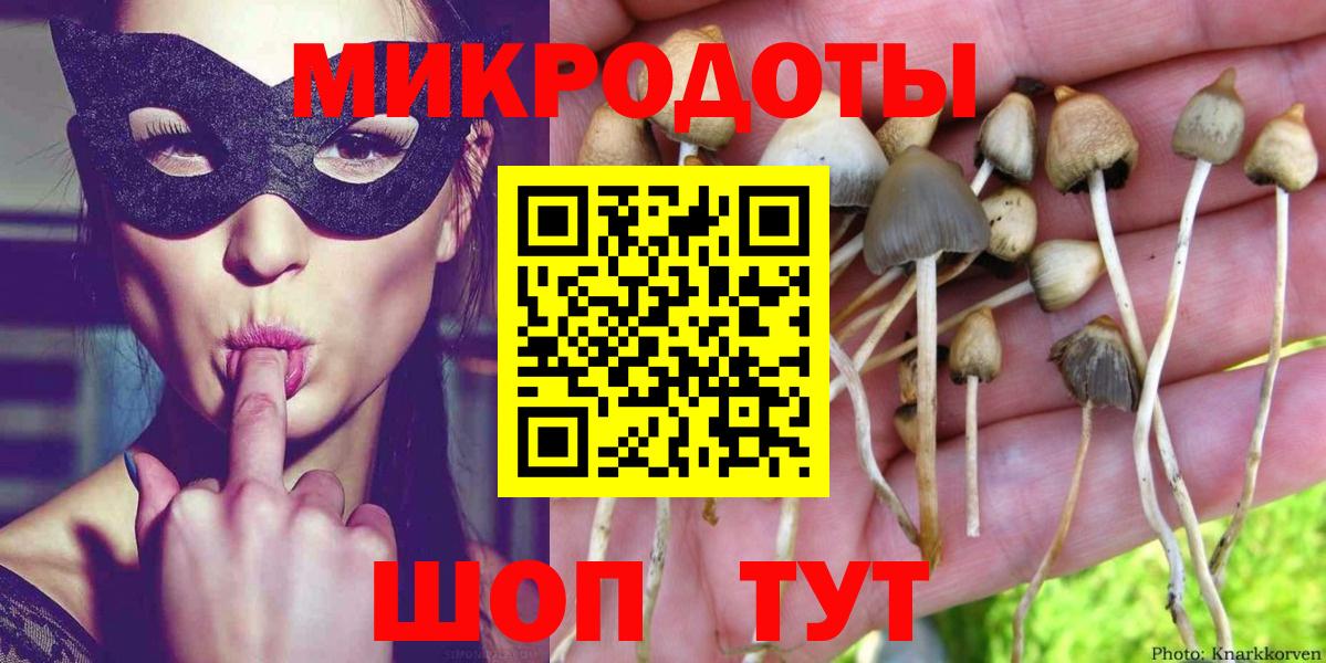 Зеленогорск  Псилоцибиновые грибы мухоморы  Вход с VPN 